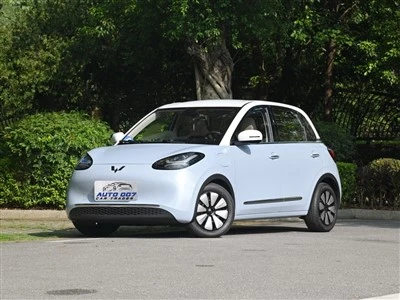 Voiture électrique Wuling Binguo Plus